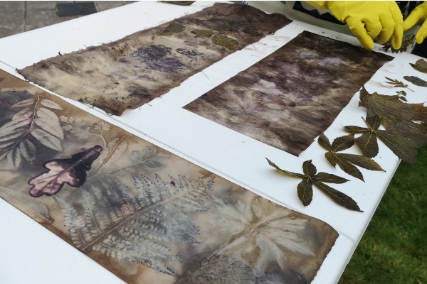 Beginners Natural Dye Eco-Printing Workshop